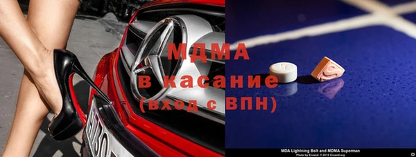 индика Гусь-Хрустальный