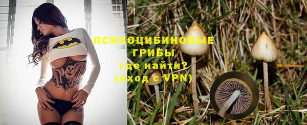 соль курить ск Горняк