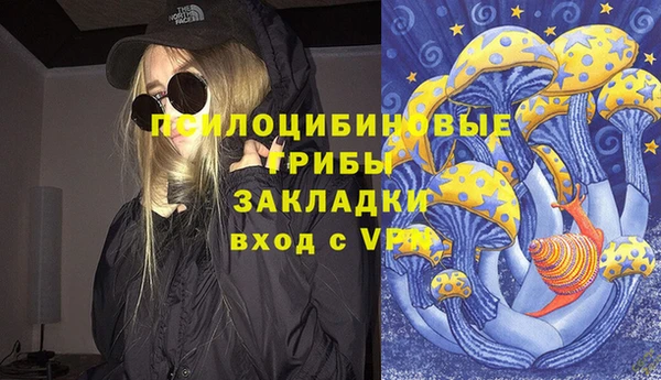 марки lsd Горно-Алтайск